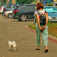 Эх, руки устали от поводка! :: Владимир 