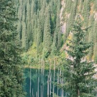 Таинственное озеро :: Георгиевич 