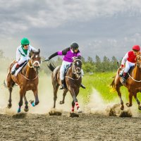 Скачки :: SanSan 