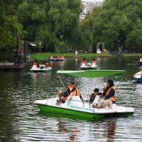 Москва. Воронцовский парк. На пруду. :: Наташа *****