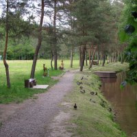 Тропа сказаний и ручей Солоник :: Александр Ильчевский 