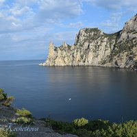 Природа Крыма :: Amazing Cosmea