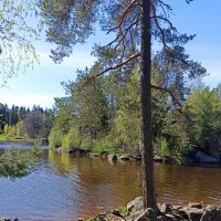 Скальный парк Монрепо в Выборге :: Ольга Довженко Скальный парк Монрепо в Выборге :: Ольга Довженко