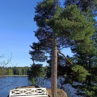 Скальный парк Монрепо в Выборге. :: Ольга Довженко