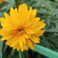 ,,, :: Сергей Тимоновский