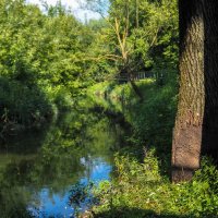 ***** :: юрий поляков ***** :: юрий поляков