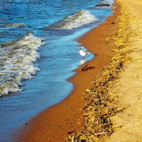 Навстречу волне. :: Лия ☼ Навстречу волне. :: Лия ☼