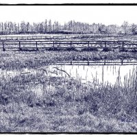 Сиреневый пейзаж :: Liudmila LLF