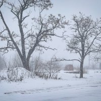Зима :: Яна Горбунова Зима :: Яна Горбунова