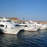 Egypt :: Андрей Л. В. Egypt :: Андрей Л. В.