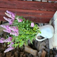 Дачный винтаж :: Галина Левина