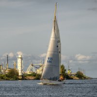 Про Питер :: Владимир Колесников