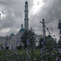 Пасмурно, в Караганде :: Андрей Хлопонин