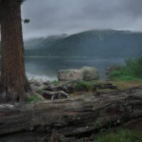 * :: Александр Иванов