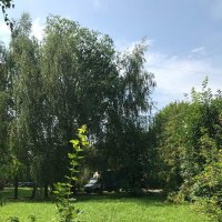 В с. Заворово :: Елена Семигина