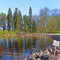 Скальный парк Монрепо в Выборге. :: Ольга Довженко Скальный парк Монрепо в Выборге. :: Ольга Довженко