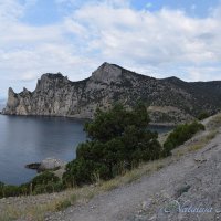 Природа Крыма :: Amazing Cosmea