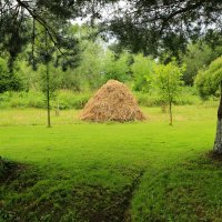 Август... :: Юрий Моченов