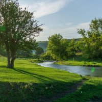 Природный парк Кудыкина Гора :: Дмитрий Ряховский