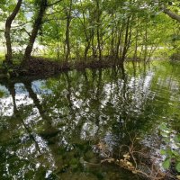 Горная речка :: Tata Wolf