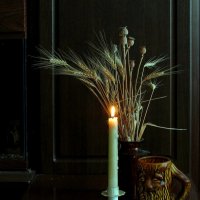 На черном фоне :: Роман Савоцкий