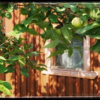 ..... :: Руслан 