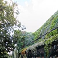 оформление Маркета :: Галина R...