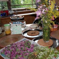 Мой дом. :: Венера Чуйкова