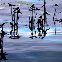 ~~ :: Сергей Премонишын