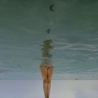 Морские перевертыши :: Pippa 