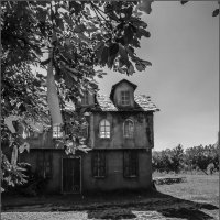 Безвременье... :: Наталья Rosenwasser