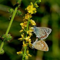 из снятого 1 августа 7 :: Александр Прокудин из снятого 1 августа 7 :: Александр Прокудин