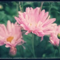 ....... :: Руслан 