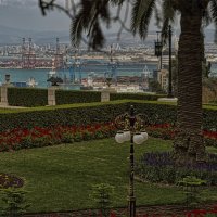 Хайфа 12,06,2025 :: ujgcvbif 