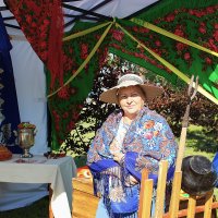 Дачница :: Василий 