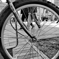 Черно-белая фотография :: Любимова Ольга 