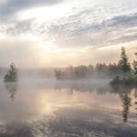 Утро туманное... :: Sergey38 