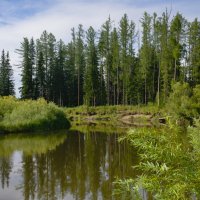 Карабула, приток Ангары :: Сергей Шаврин