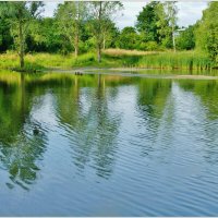 У ОЗЕРА... :: Elvira E. 