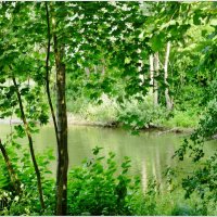 У ОЗЕРА... :: Elvira E. 