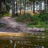 К воде :: sorovey Sol