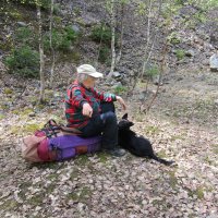 -Иди погуляй! :: Galaelina *** -Иди погуляй! :: Galaelina ***