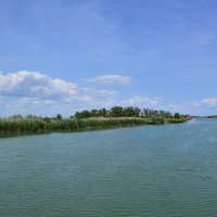 **** :: Виктор 