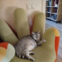 Котик Баксик! :: Надежда Котик Баксик! :: Надежда