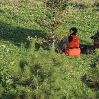 счастье Джима :: sv.kaschuk 