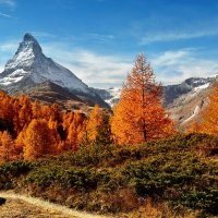 autumn :: Elena Wymann autumn :: Elena Wymann