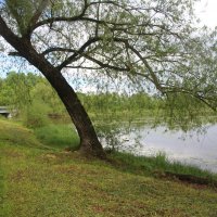 Орловский парк :: Наталья Герасимова