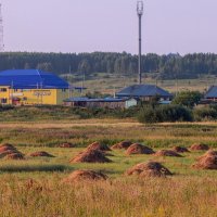 Август - проба осенних красок! :: Елена Хайдукова  ( Elena Fly )