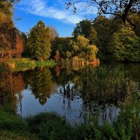 --------- :: igor G.