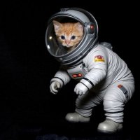 Юный космонавт :: Дмитрий (Горыныч) Симагин Юный космонавт :: Дмитрий (Горыныч) Симагин